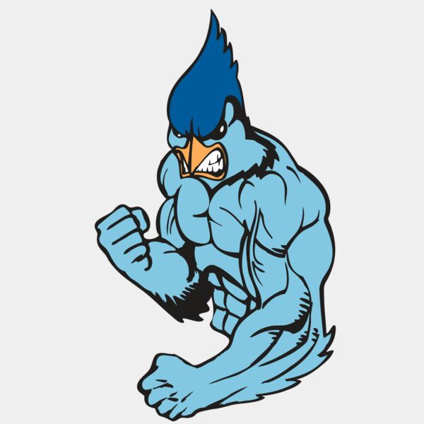 BAW BLUEJAY 13 RC Thumbnail