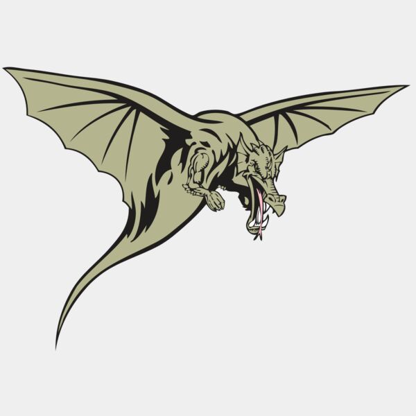 BAW DRAGON 12 RC Thumbnail