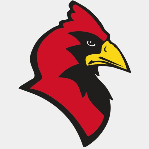 AR CARDINAL 20 RC Thumbnail